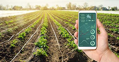 Conectividad para los recursos naturales: ¿Qué solución ofrece Alai?